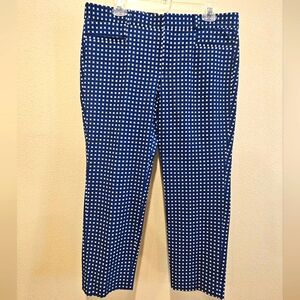 Banana Republic Women's Sloan Style Blue and White Checkered Pants Size 12 Petit